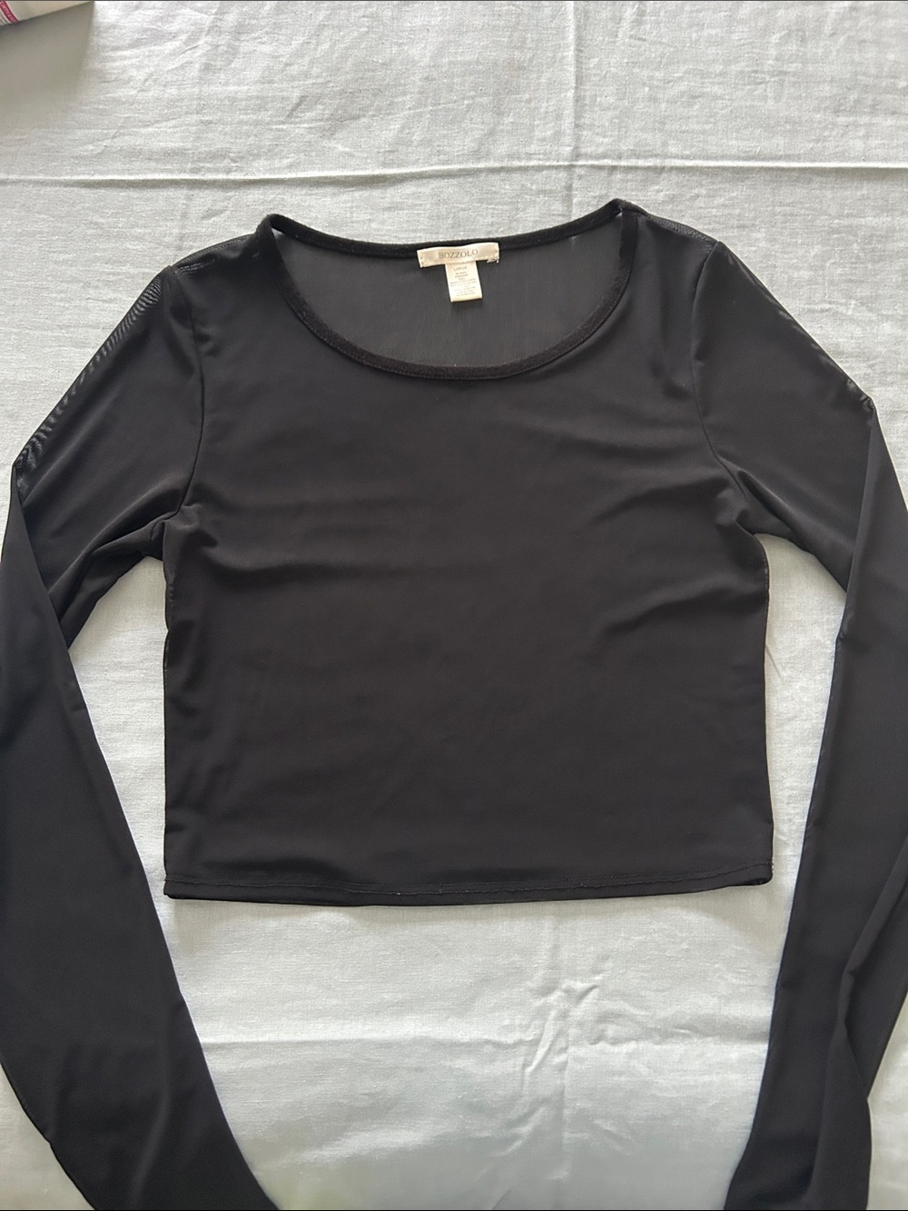 Black Long Sleeve Transparent Crewneck Women's Top